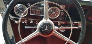 Mirna - 13 blagoslov stardoobnikov, foto Lapego (11)